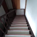 Apartament Panaceum- Panaceum