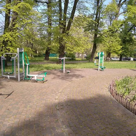 Apartament Panaceum- Panaceum